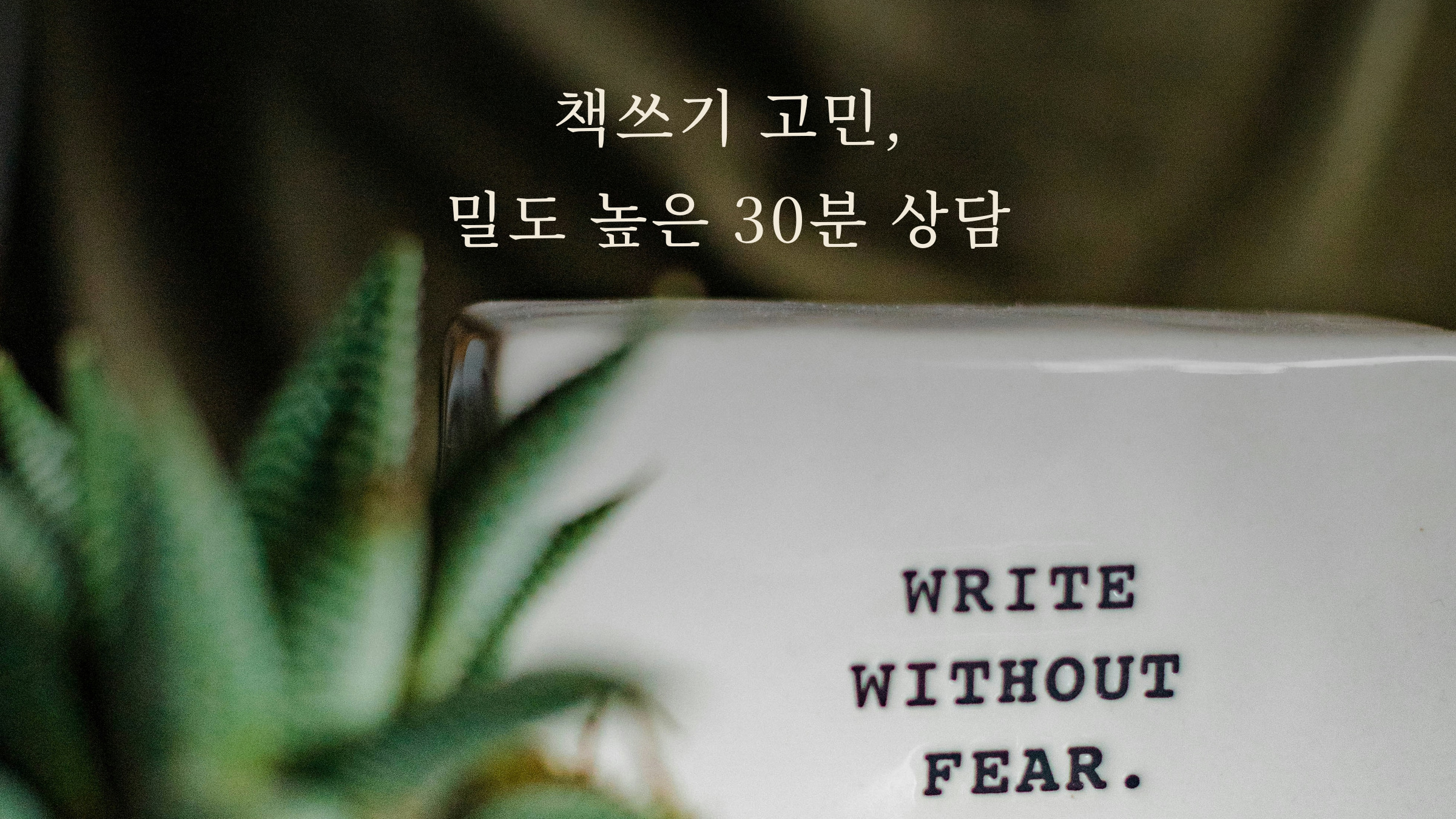 책쓰기 고민, 밀도 높은 30분 상담